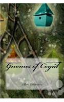 Gnomes of Coyul