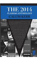 The 2014 Flash365 Anthology