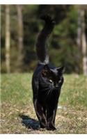 Black Cat - Don't Cross My Path Journal