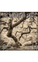 The Nature of Trees 16-Month 2020 Calendar