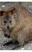 Quokka Journal: 150 page lined notebook/diary