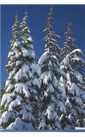 Pine Trees Heavy with Snow in Deer Canyon Utah Journal: 150 Page Lined Notebook/Diary