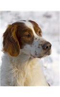 Irish Red and White Setter: Artified Pets Dog Journal/Notebook/Diary