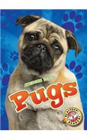Pugs