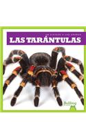 Las Tarántulas (Tarantulas)