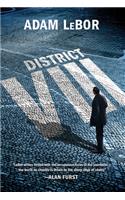 District VIII