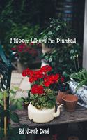 I Bloom Where I'm Planted
