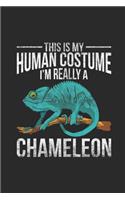 I'm Really A Chameleon
