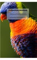 Composition Notebook: Cute Parrot Tropical Birds Vacation Themed Notebook or Journal