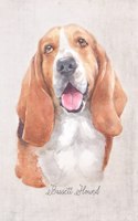 Bassett Hound Dog Portrait Notebook
