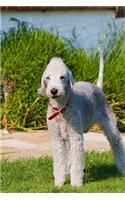 Bedlington Terrier Standing Tall in the Grass Journal: Take Notes, Write Down Memories in this 150 Page Lined Journal