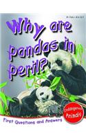 Why are Pandas in Peril?: First Questions and Answers - Endangered Animals(First Q&A)