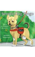 Service Dog Dingo