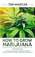 How to Grow Marijuana