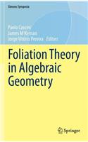 Foliation Theory in Algebraic Geometry