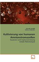 Kultivierung von humanen Amnionstromazellen