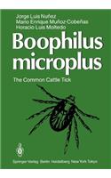 Boophilus Microplus