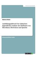 Ausbildungsabbruch bei türkischen Jugendlichen. Analyse des Einflusses von Elternhaus, Motivation und Sprache