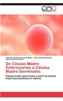 de Celulas Madre Embrionarias a Celulas Madre Germinales