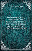 Flora Lusatica, oder, Verzeichniss und Beschreibung der in der Ober- und Niederlausitz wildwachsenden und hufig cultivirten Pflanzen