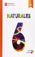 Naturales 6 (aula Activa)