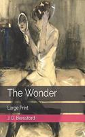 The Wonder: Large Print