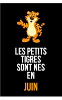 Les petits tigres sont nés en juin