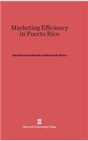 Marketing Efficiency in Puerto Rico