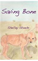 Saving Bone