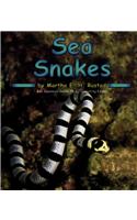 Sea Snakes