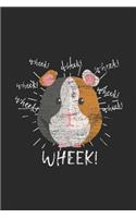 Wheek Guinea Pig