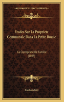 Etudes Sur La Propriete Communale Dans La Petite Russie