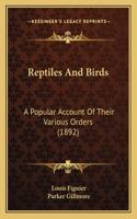 Reptiles And Birds