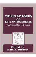 Mechanisms of Epileptogenesis