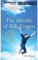Afterlife of Billy Fingers
