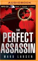 Perfect Assassin