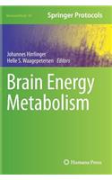 Brain Energy Metabolism: (90 Neuromethods)