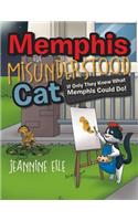 Memphis the Misunderstood Cat