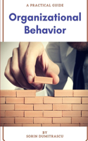 Organizational Behavior