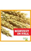 Harvest in Fall