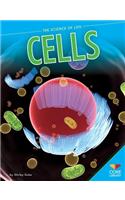 Cells