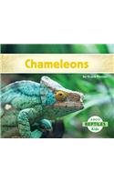 Chameleons
