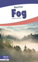Fog: Baseball Star(Weather)