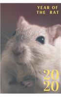 2020 Year of the Rat