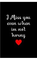 I Miss You Even When im not Horny