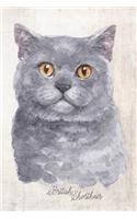 British Shorthair Cat Portrait Notebook