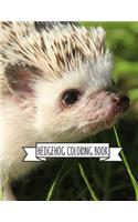 Hedgehog Coloring Book: Hedgehog Lover Gifts for Toddlers, Kids or Adult Relaxation - Cute Stress Relief Animal Birthday Coloring Book Made in USA