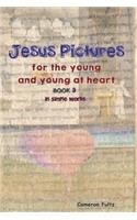 Jesus Pictures For The Young And Young At Heart - Book 3