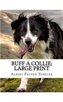 Buff A Collie