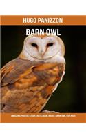 Barn Owl